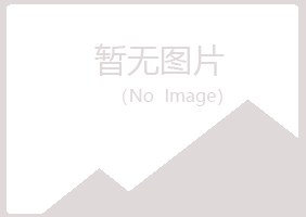 五大连池敷衍律师有限公司